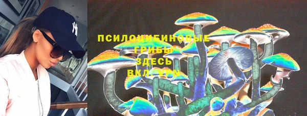a pvp Дмитров