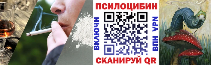 Псилоцибиновые грибы мицелий  мориарти клад  Плавск 